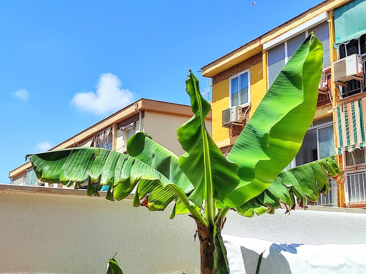 Manuela Nogales Apartments! มาลากา ภายนอก รูปภาพ